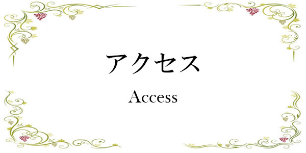 access